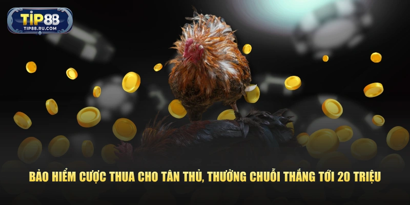 Bảo hiểm cược thua cho tân thủ, thưởng chuỗi thắng tới 20 triệu