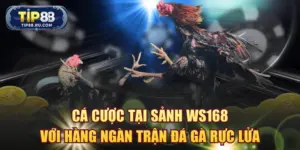 Sảnh WS168