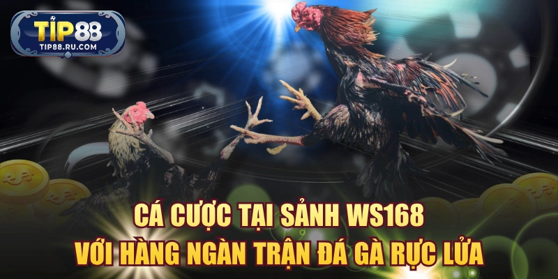 Sảnh WS168