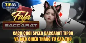 Speed Baccarat TIP88