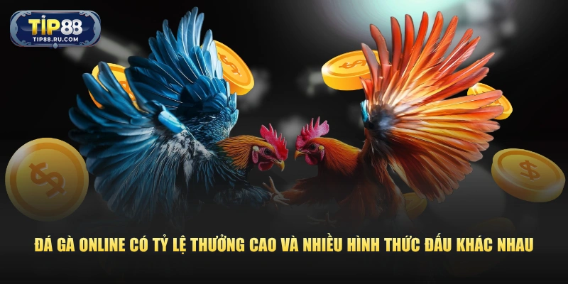 Đá gà online có tỷ lệ thưởng cao và nhiều hình thức đấu khác nhau