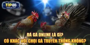 Đá gà online